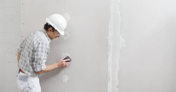Best Commercial Mold Inspection  in Roosevelt Gardens, FL