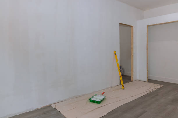 Best Attic Mold Removal  in Roosevelt Gardens, FL