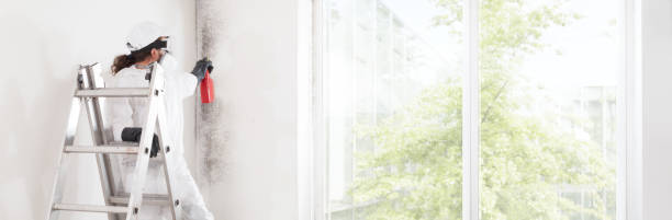 Best Mold-Related Health Consultation  in Roosevelt Gardens, FL