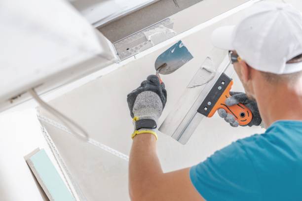 Best Industrial Mold Remediation  in Roosevelt Gardens, FL
